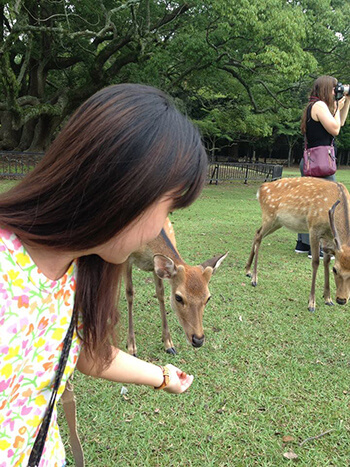 Nara_Ika Feeding_Re