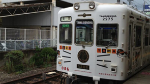 tama train_re