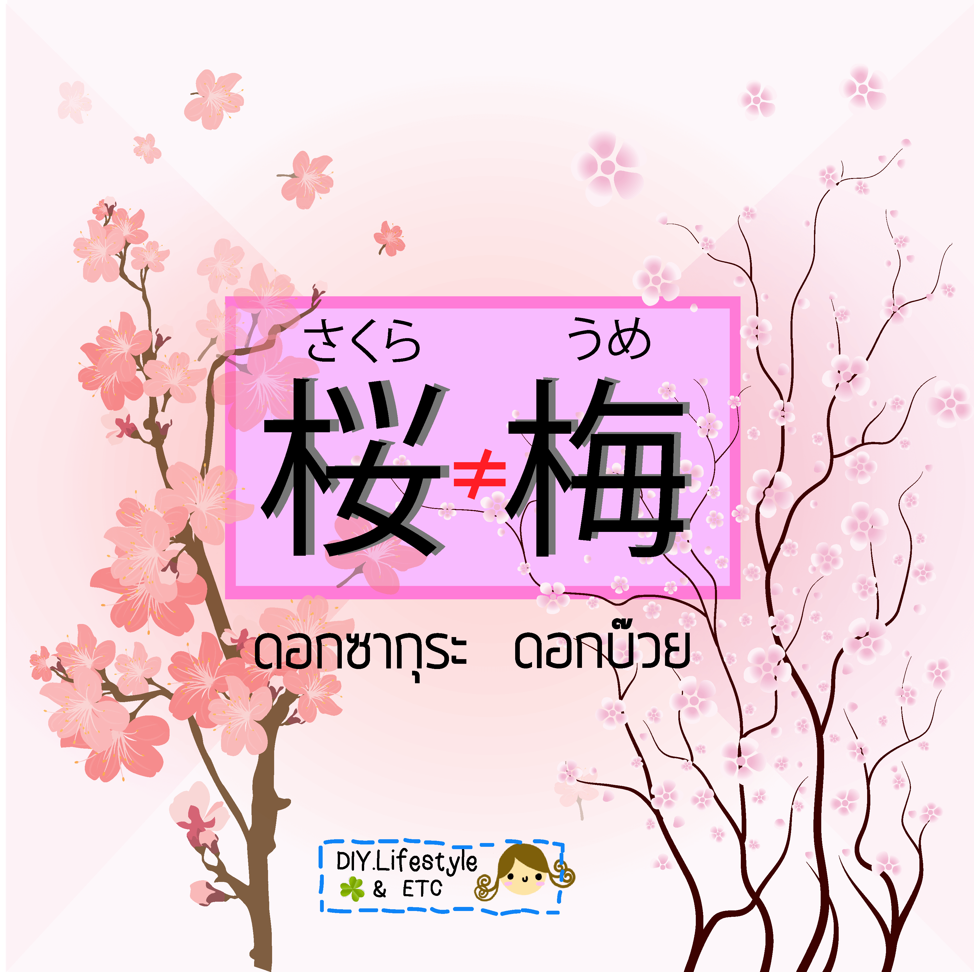 sakura-plum