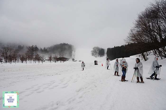 โทโฮกุ ยะมะงะตะ snow shoes