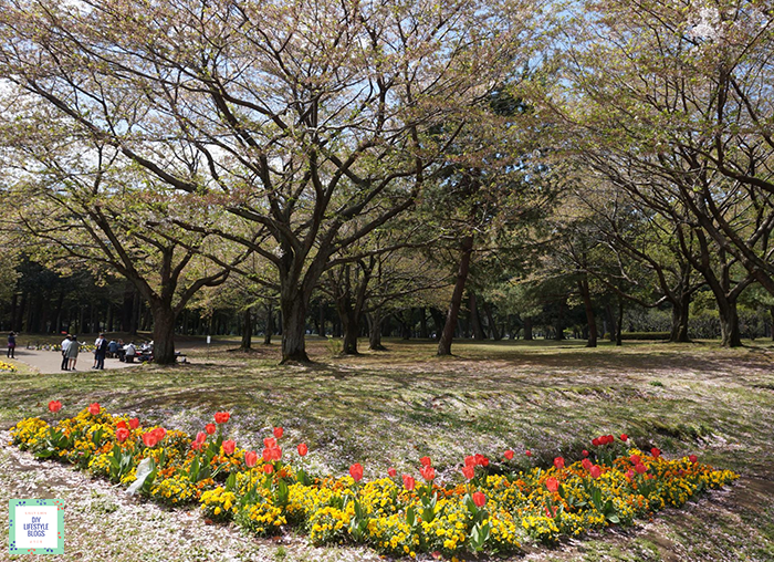 omotenashi Japan