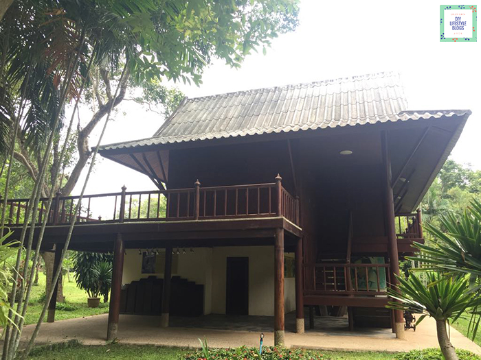 Eco Tourism_11