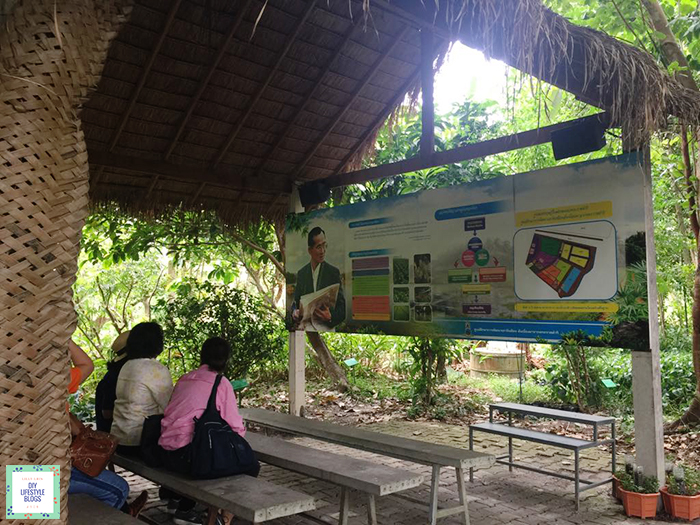 Eco Tourism_5