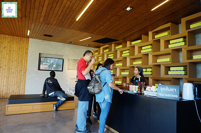 Tea Plantation_10