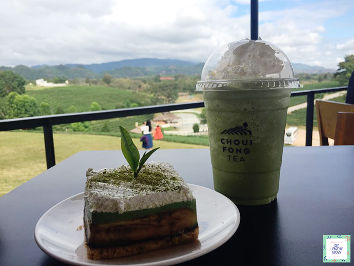 Tea Plantation_17